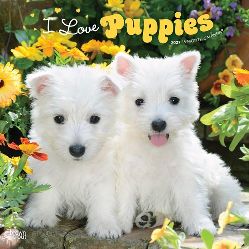 Love puppies calendar 2027 - puppies, |