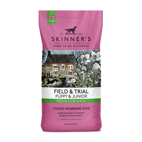 Skinners field trial puppy - field, &