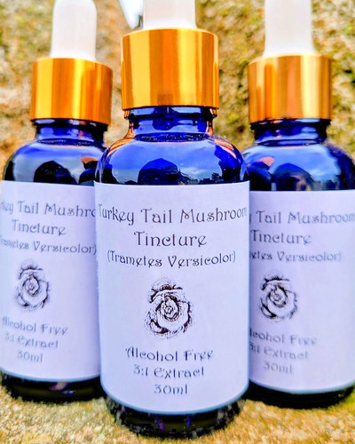 Turkey tail tincture - tincture, dogs