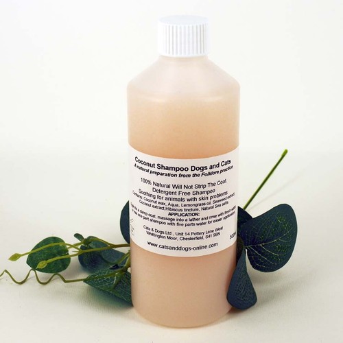 Dog shampoo coconut - dog,