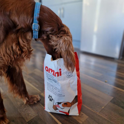 Omni puppy vegan dry - omni, dog