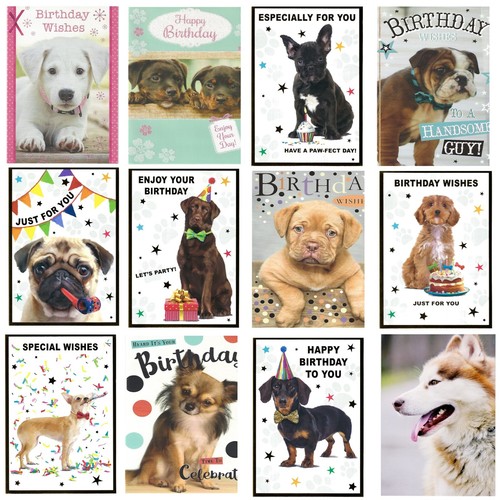 Cute puppies quality - quality, birthday
